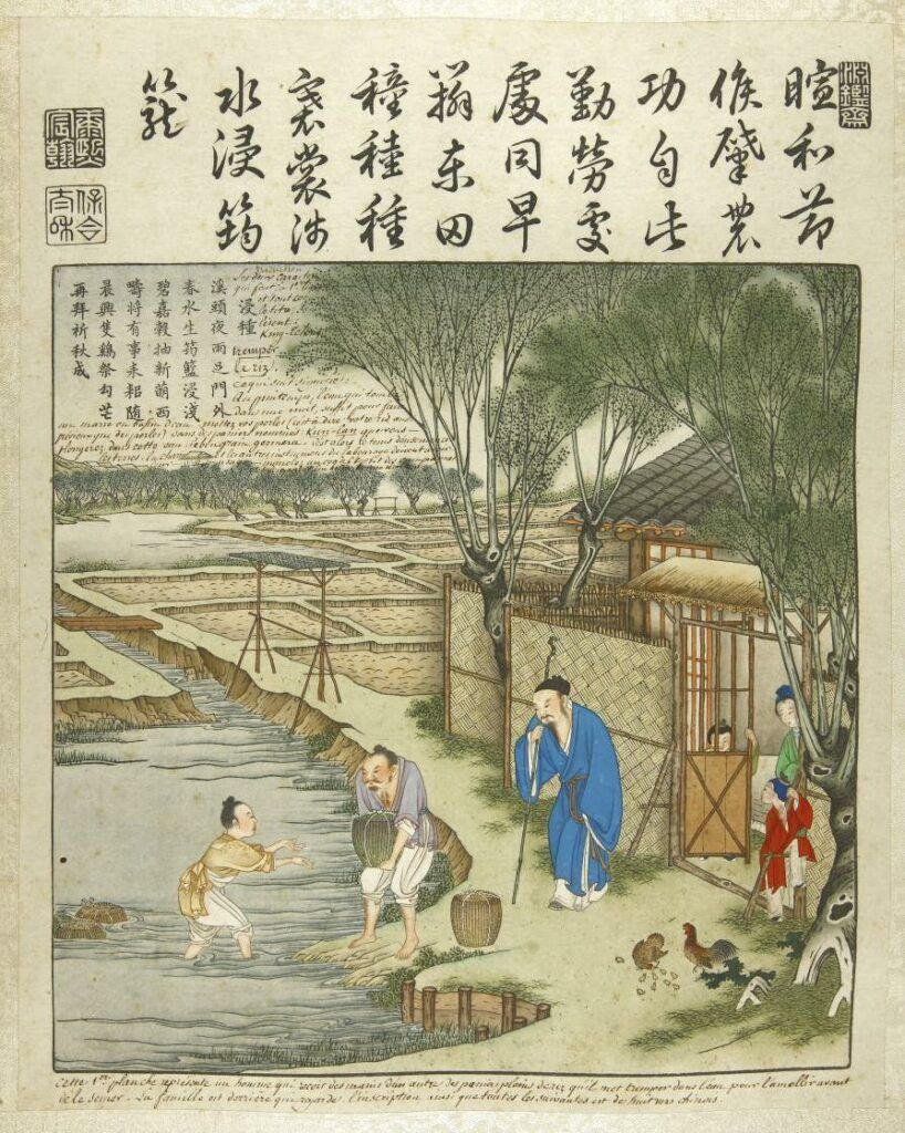 Manuscrit chinois illustrant la récolte du riz