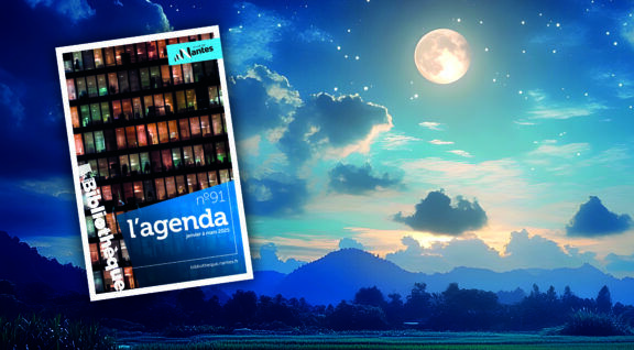 A serene night scene with a full moon shining over a field of rice paddy in a rural landscape.