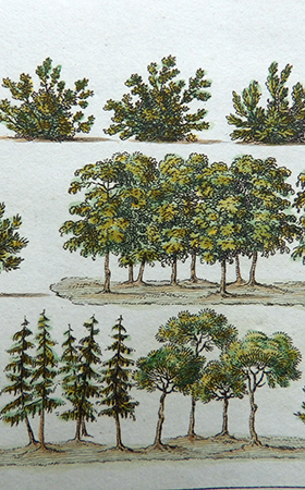 Kodak digital still camera