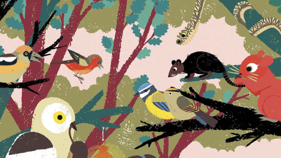 Histoires partage j wauters