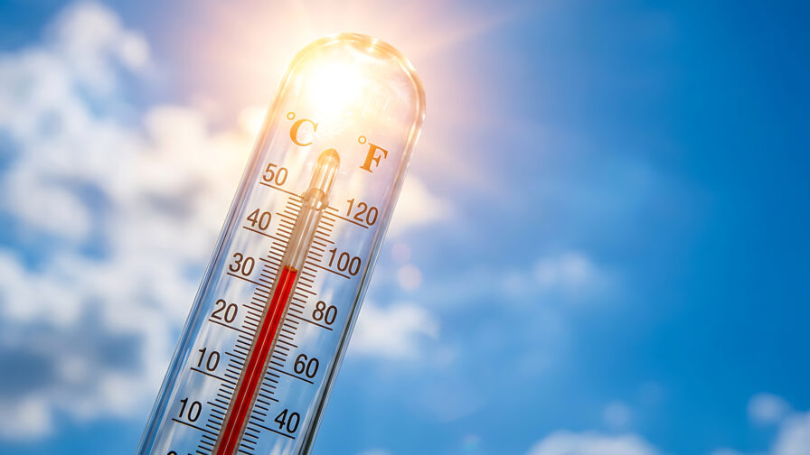Canicule